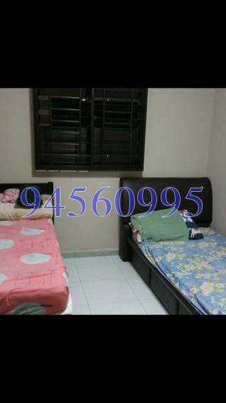 Blk 230 Serangoon Avenue 4 (Serangoon), HDB 3 Rooms #129568332